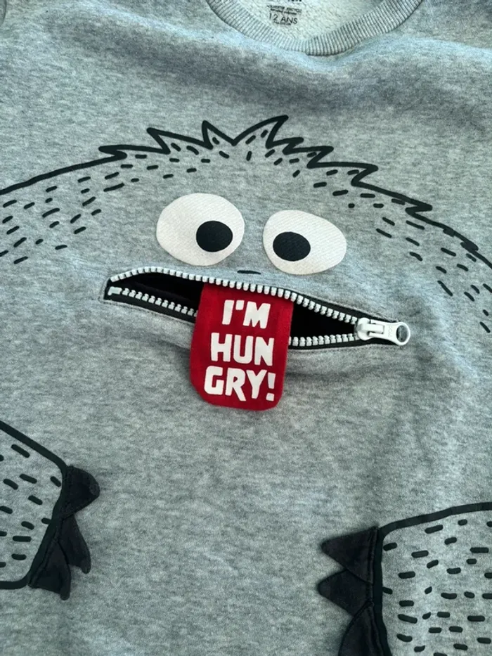 Sweat molleton gris 12 ans - photo numéro 5