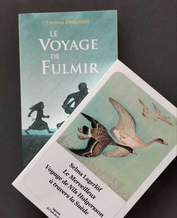 Lot de 2 livres école des loisirs 