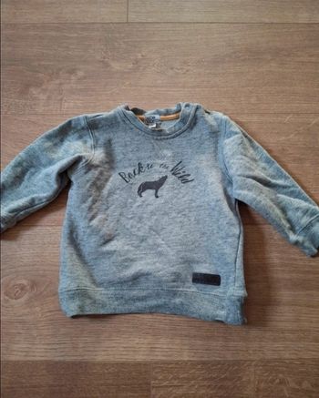 Pull gris Nano & Nanette 18 mois – motif loup “Back to the Wild”