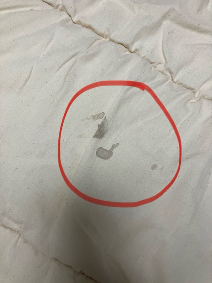 Lot de 2 duvets-Quechua-Taille L - photo numéro 7