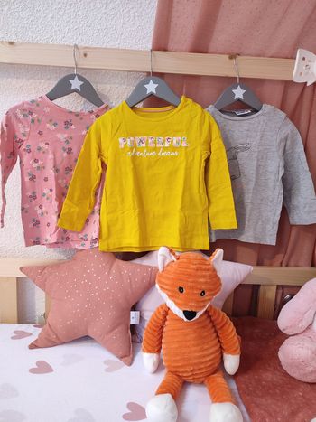 Lot de 3 tee-shirts manches longues - 24 mois - Très bon état - Lupilu/Mots d'enfants