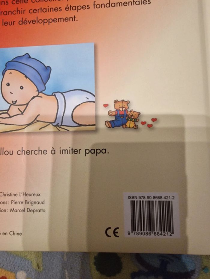 Livre caillou - photo numéro 2