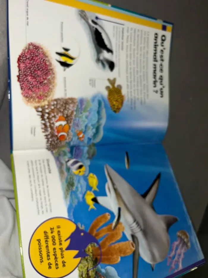 Me première encyclopédie des créatures de la mer - photo numéro 12