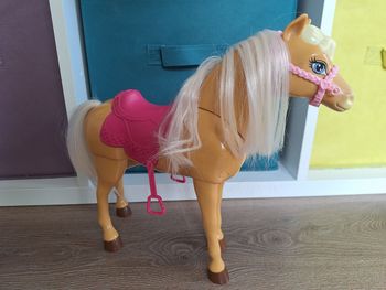 Cheval Barbie