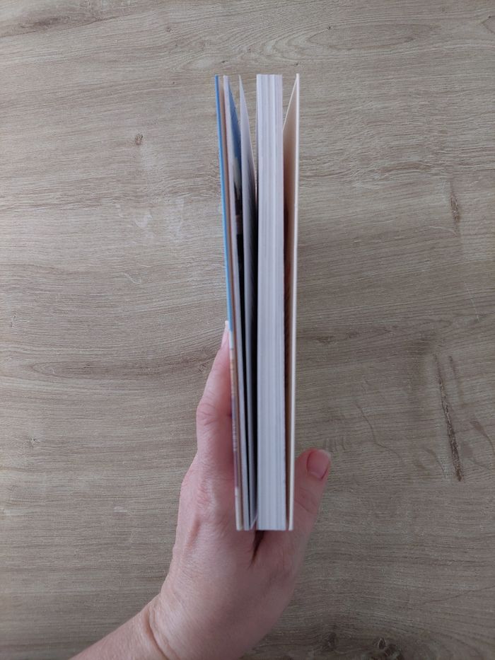 Livre celestine petit Rat de l opéra - photo numéro 4