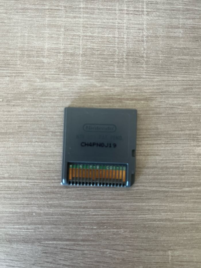 Jeu Ds Champion imagine Rider - photo numéro 2