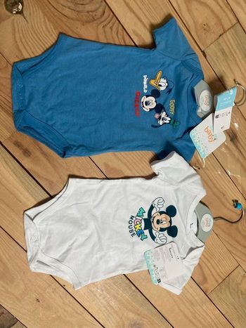 Lot de 2 bodys neufs