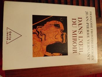 Dans l oeil du miroir