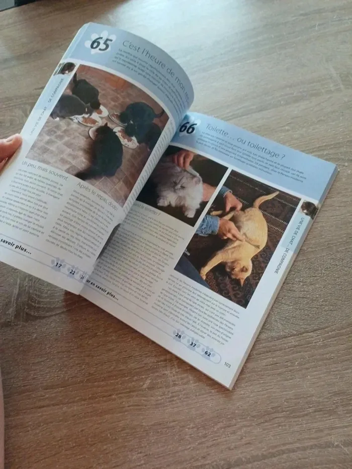 Livre " 100 clés pour comprendre son chat " - photo numéro 5