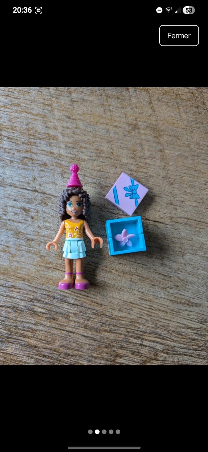 Lego - la fête surprise des animaux - photo numéro 2