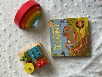 livre Pourras - tu suivre le lapin ? minedition