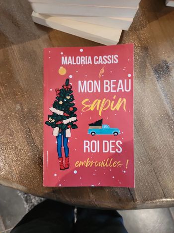 Livre : Mon beau sapin roi des embrouilles!