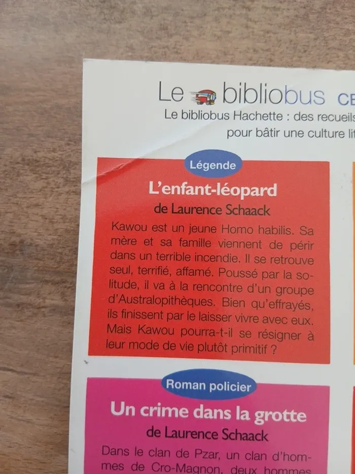Bibliobus historique la préhistoire - photo numéro 4