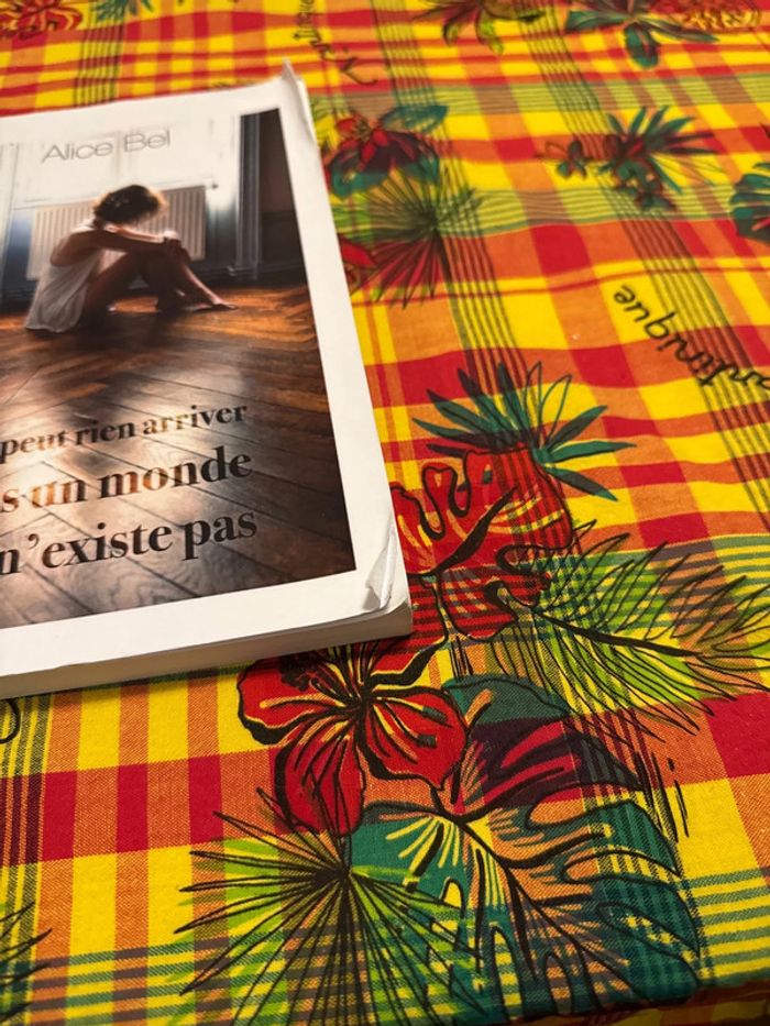 Llvre il ne peut rien arriver dans un monde qui n’existe pas - Alice bel - photo numéro 4