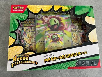 Coffret Méga-Méganium