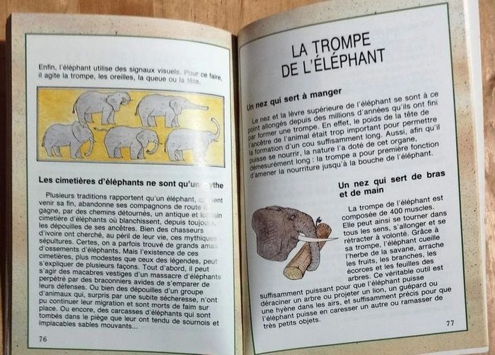 Livre enfant Kongo l'éléphant - 8 ans - photo numéro 6