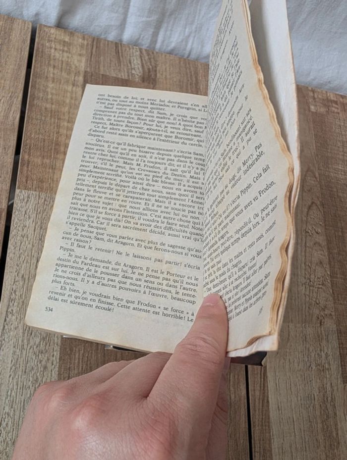 Lot livres le seigneur des anneaux - photo numéro 9