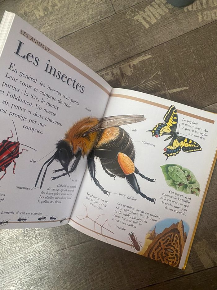 Ma grande encyclopédie - photo numéro 7