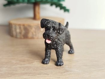 Schleich figurine chien schnauzer nain noir Animal domestique Calendrier de l'avant