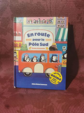 En route pour le pôle sud