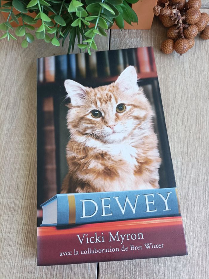 Livre Dewey Vicki Myron