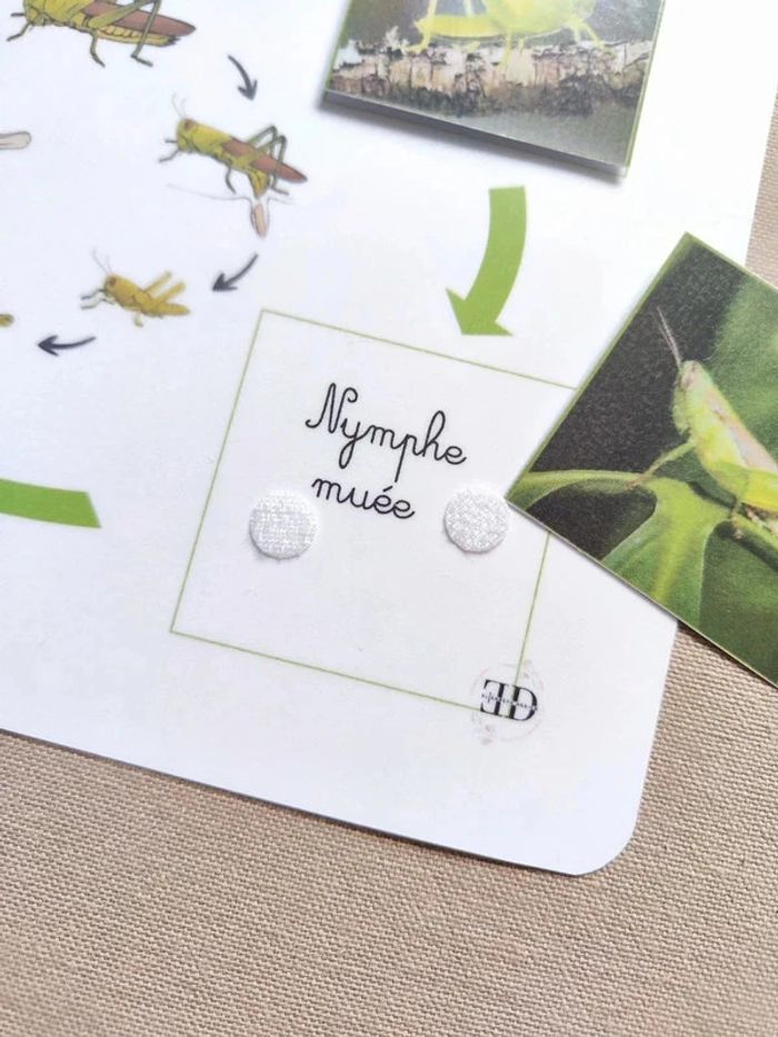 Kit cycle de vie de la sauterelle Montessori - photo numéro 3