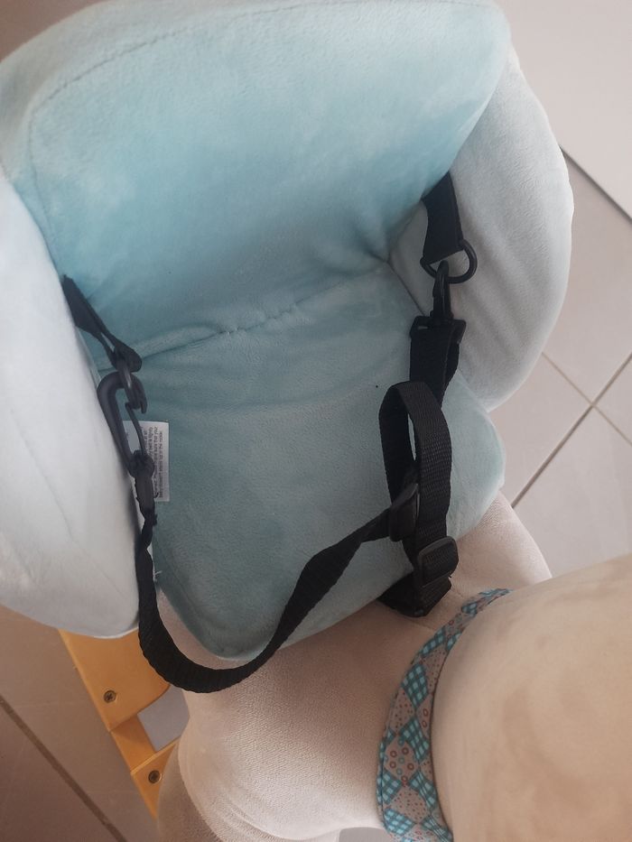 Chien à bascule - photo numéro 6