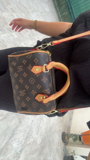 Sac  inspi Lv