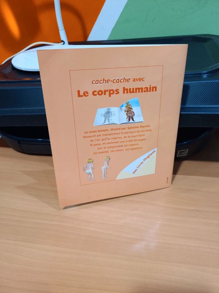 Cache cache avec corps humain - photo numéro 19