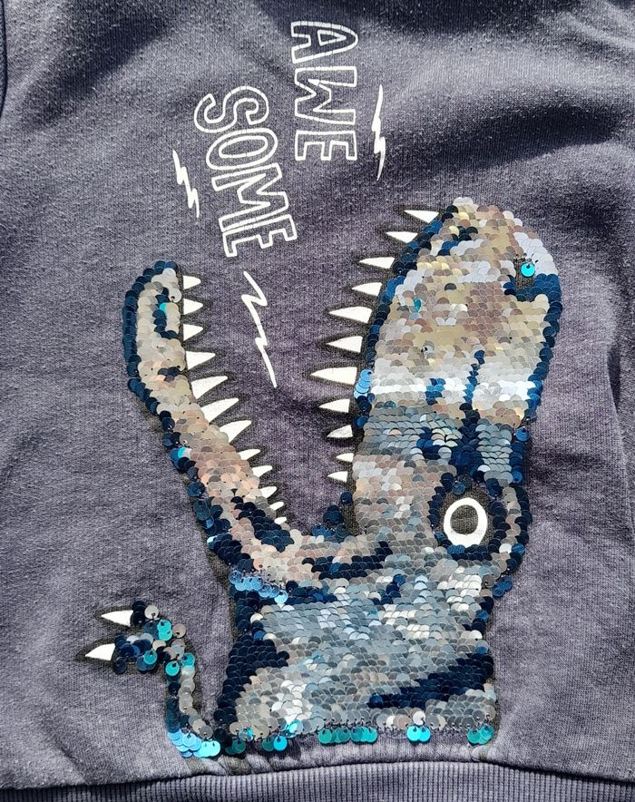 Sweat à capuche - photo numéro 3