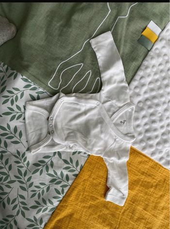 Lot Bodie tex