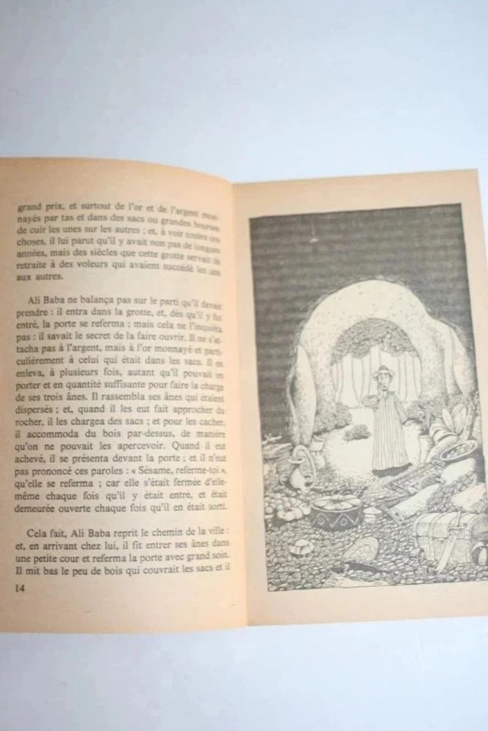 Ali Baba et les quarante voleurs - photo numéro 3