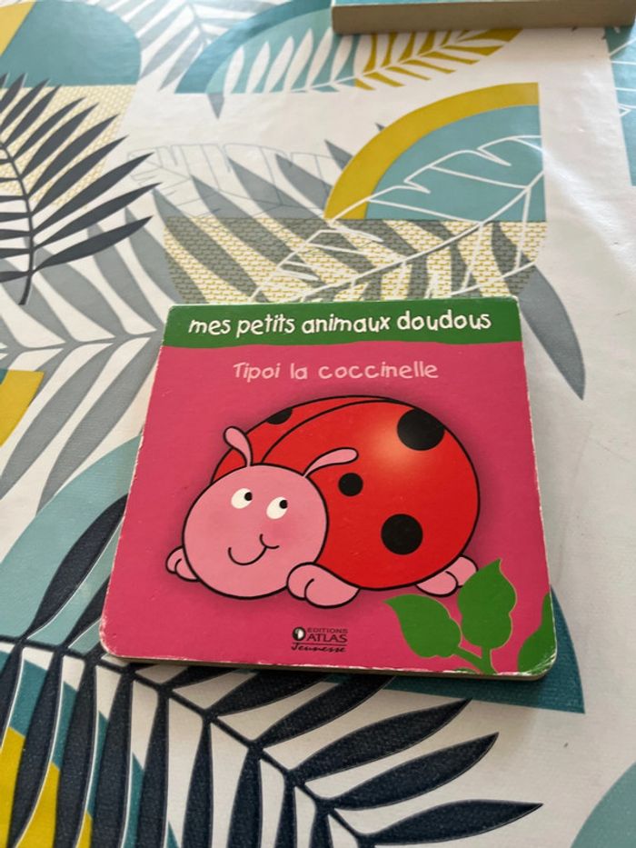 Petits livres - photo numéro 13