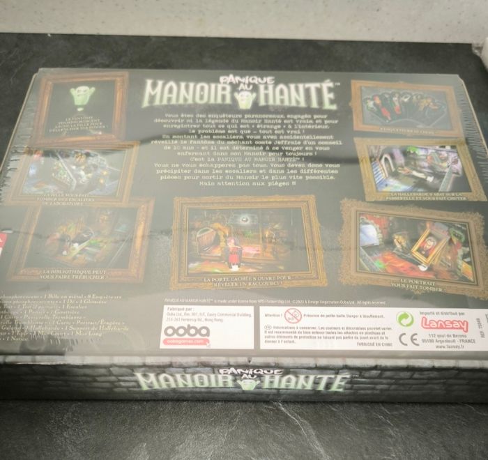 Le manoir hante - photo numéro 2