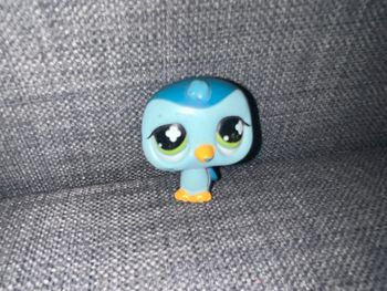 Pet shop Pingouin #821