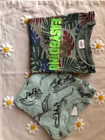 Lot hauts 5 ans garçon – TAO + tee-shirt japonais Bluemart – dinosaures