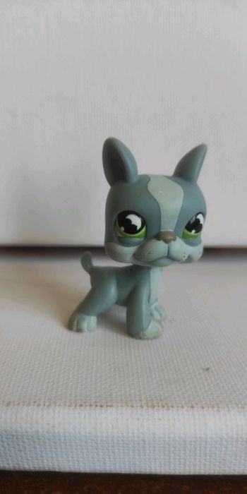 My littlest petshop chien Boston terrier 857