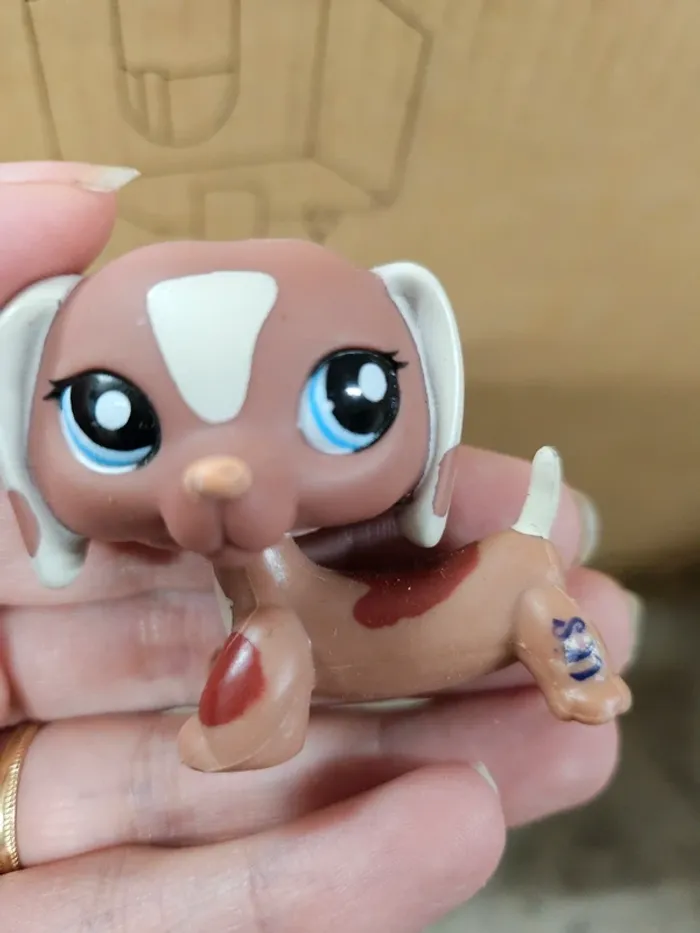 Littlest pet shop 1631 teckel - photo numéro 4