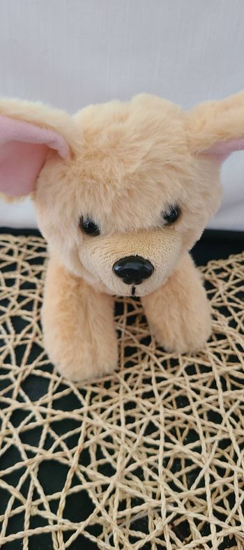 Golden Retriever Promise