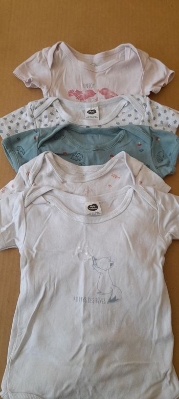 Lot 5 bodies manches courtes