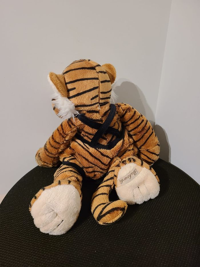 tigre - photo numéro 4