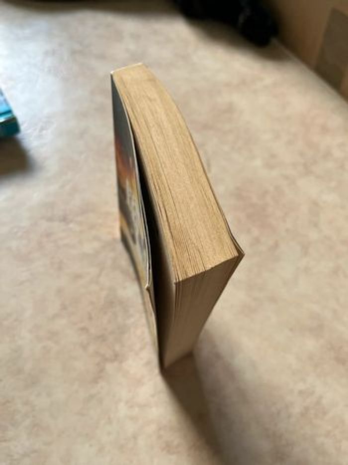 Livre l’évasion henderson’s boys tome 1 - photo numéro 3