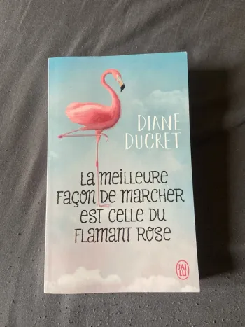 Roman « la meilleure façon de marcher est celle du flamant rose »