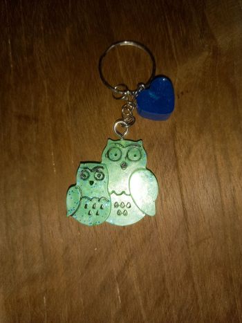 Porte clé chouette et son petit résine epoxy