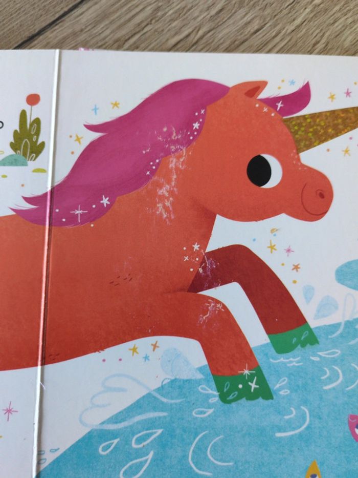 Livre licorne - photo numéro 4