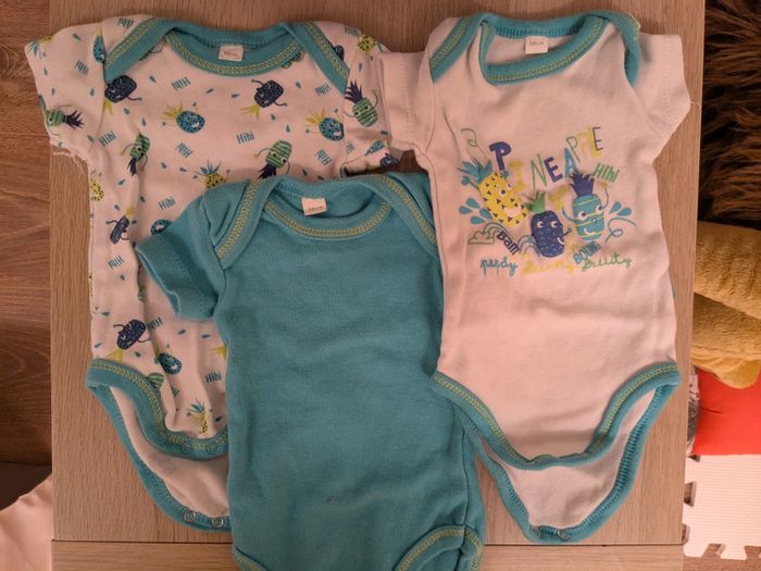 Lot 3 bodies