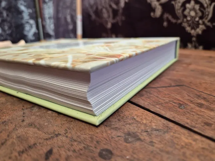 📚 Herbes 📚 - photo numéro 5