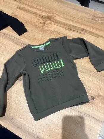 Pull puma