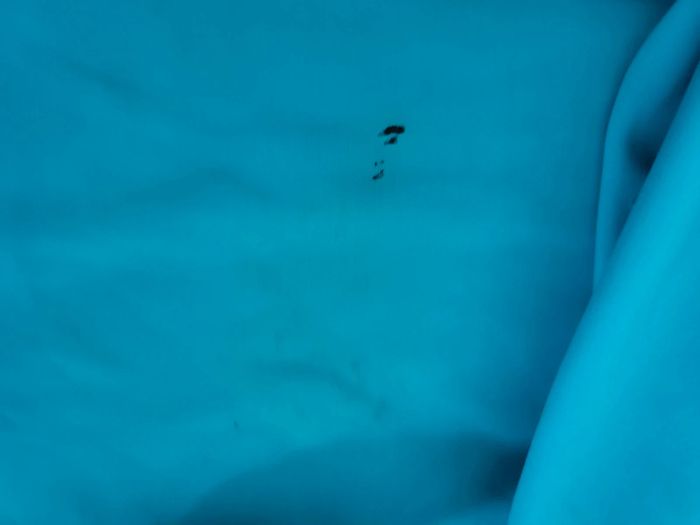 Lot d'affaires de plage - photo numéro 6