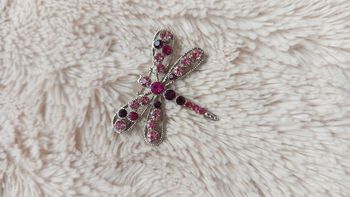 Jolie Broche libellule